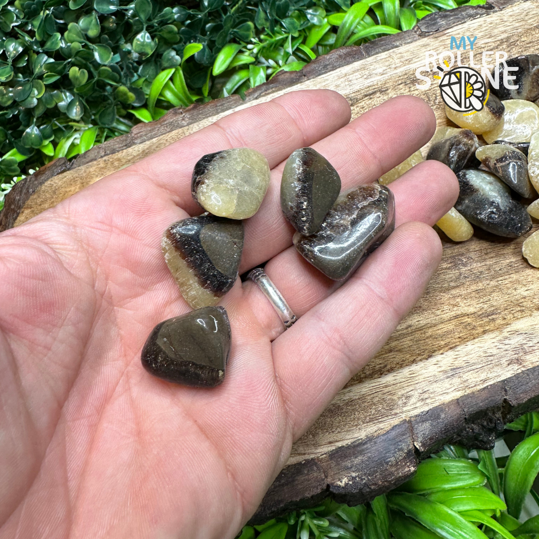 Pierre roulée Septaria - Pierres et fossiles