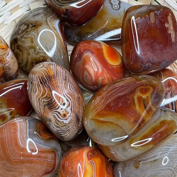 Pierre Sardonyx - Perles