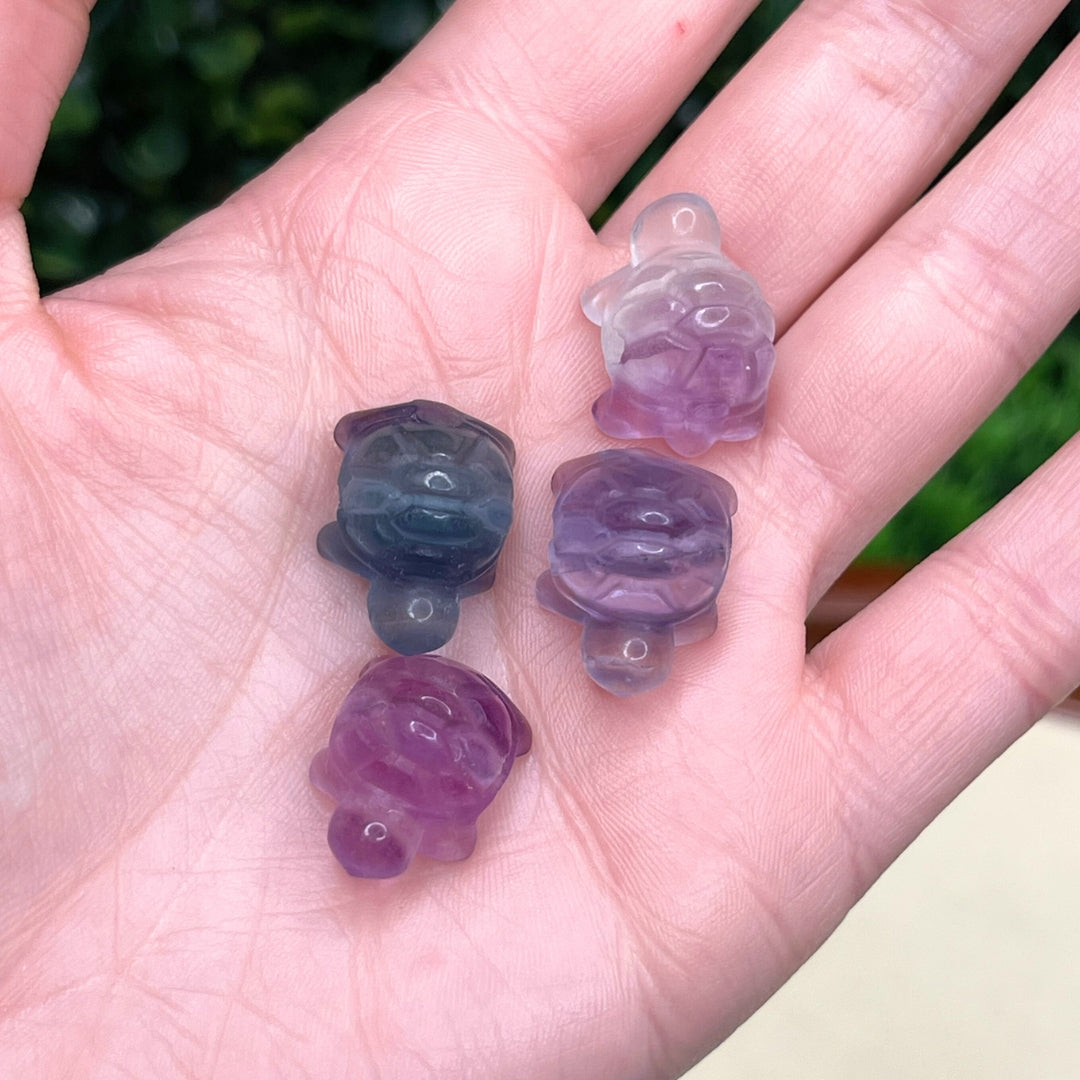 Pierre Tortue Fluorite