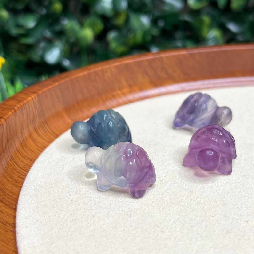 Pierre Tortue Fluorite