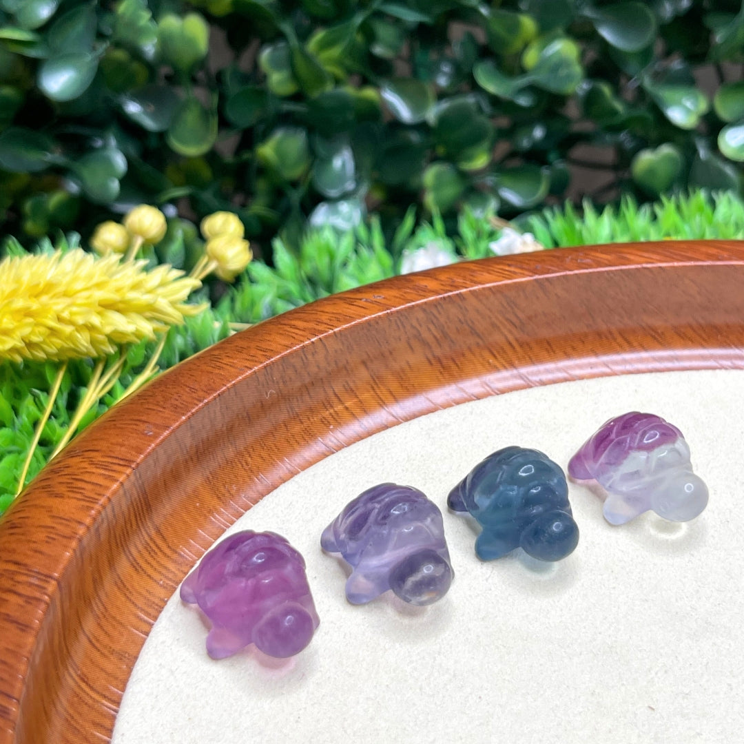 Pierre Percée Tortue Fluorite