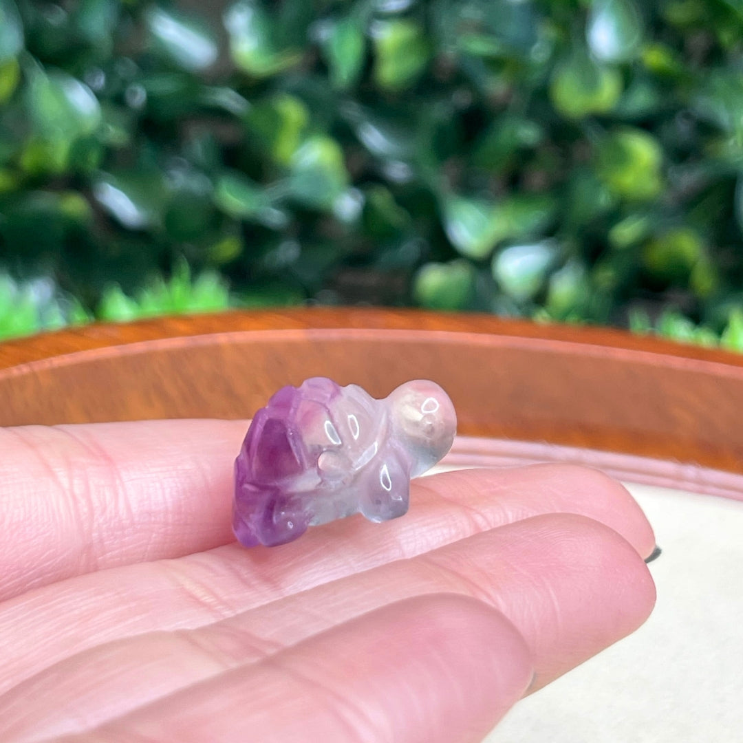 Perle Tortue Fluorite Arc en ciel