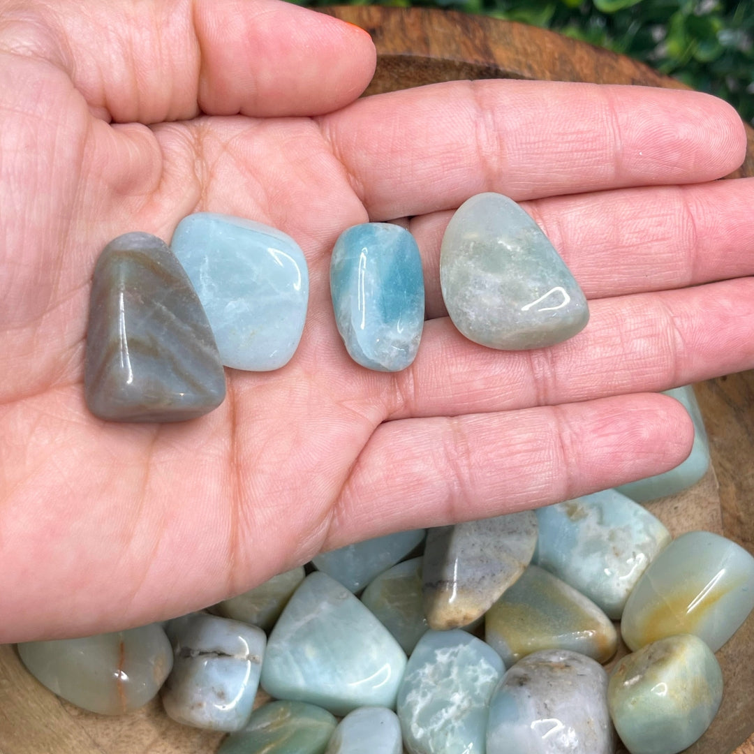 Pierres roulées Amazonite