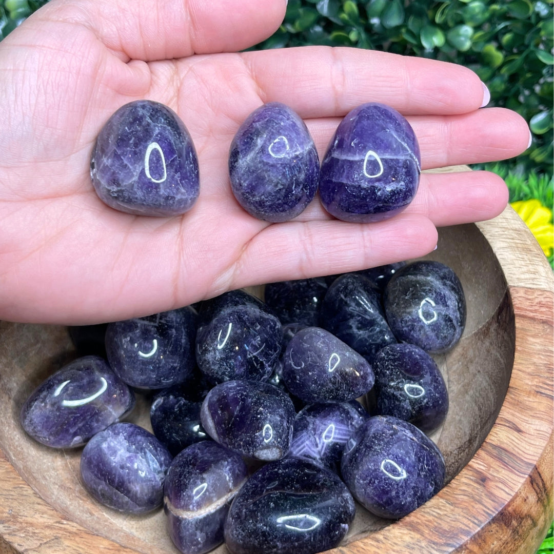 Pierres Roulées Améthyste (Taille moyenne)