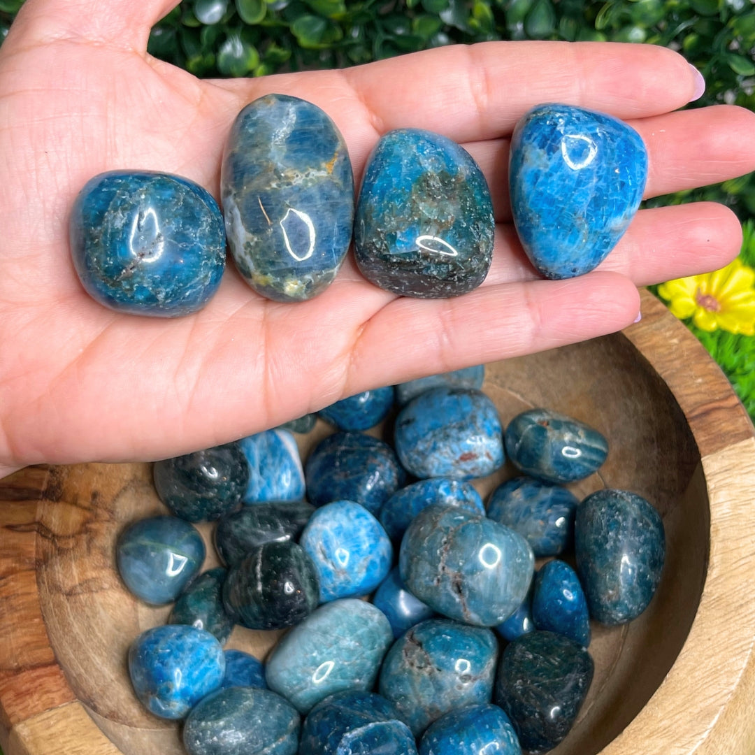 Pierres roulées en Apatite (Taille Moyenne)