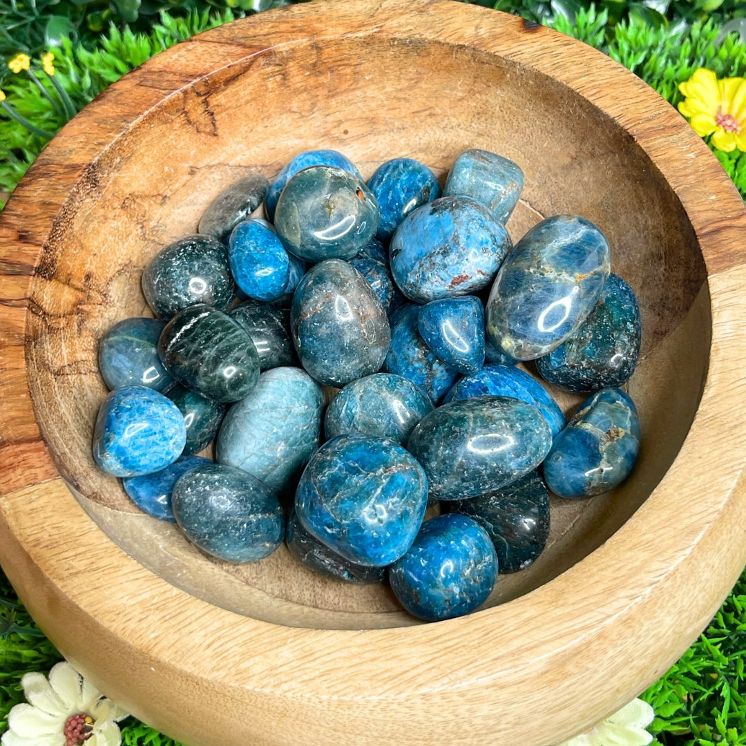 Pierres roulées en Apatite (Taille Moyenne)