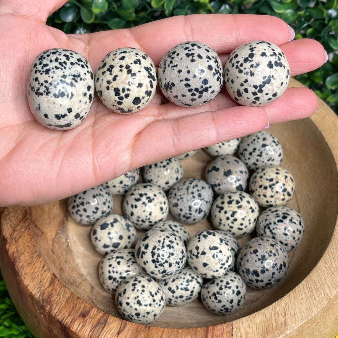 Pierre roulée Jaspe Dalmatien