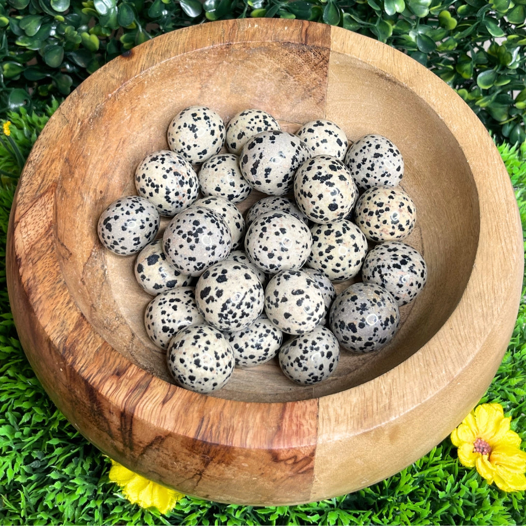 Pierre roulée Jaspe Dalmatien