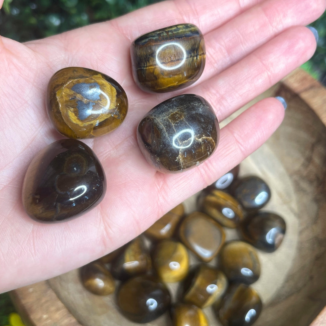 Pierres roulées Oeil de Tigre (Taille moyenne)