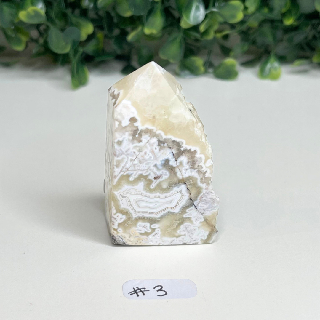 Pointe Agate Mexicaine