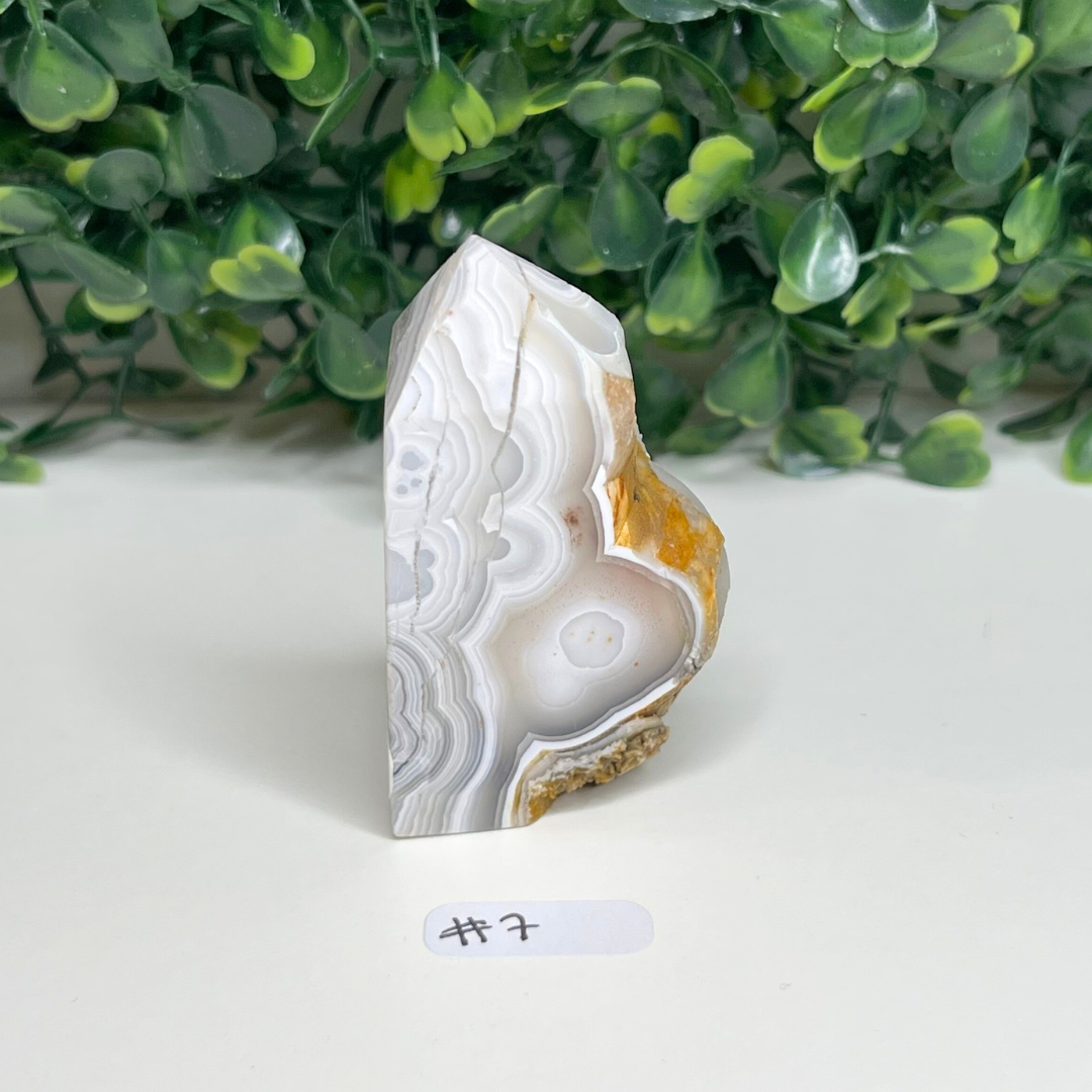 Pointe Agate Mexicaine