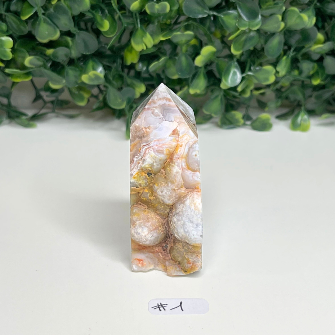 Pointe Agate Mexicaine