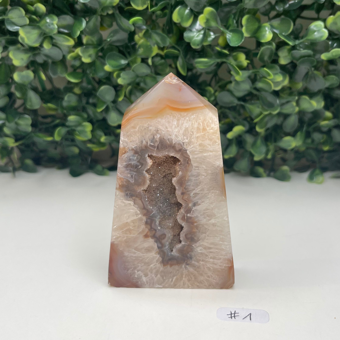 Pointe Cornaline #1 - Pierres et fossiles