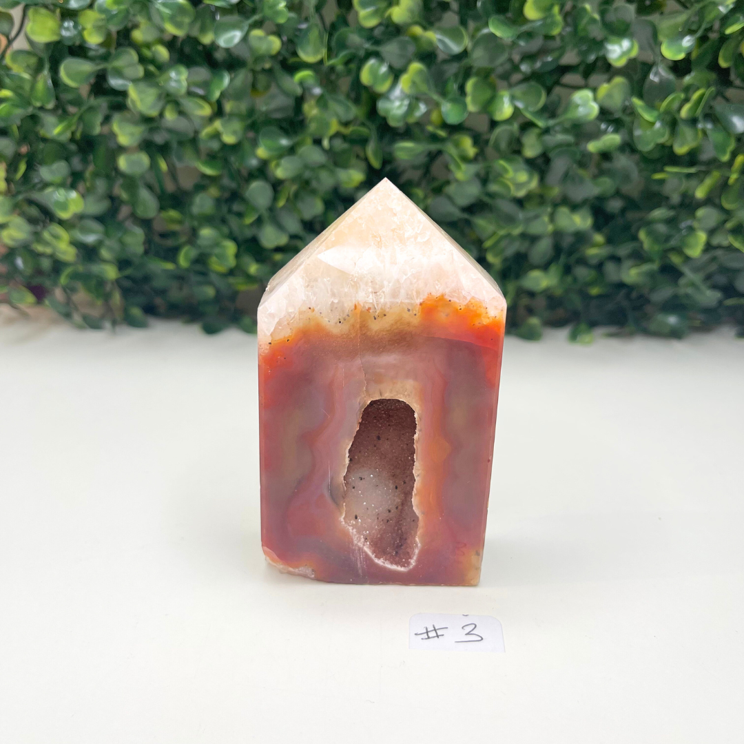 Pointe Cornaline #3 - Pierres et fossiles