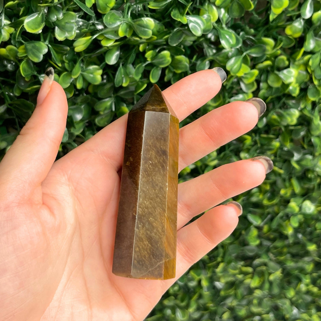 Pointe Oeil de tigre #22