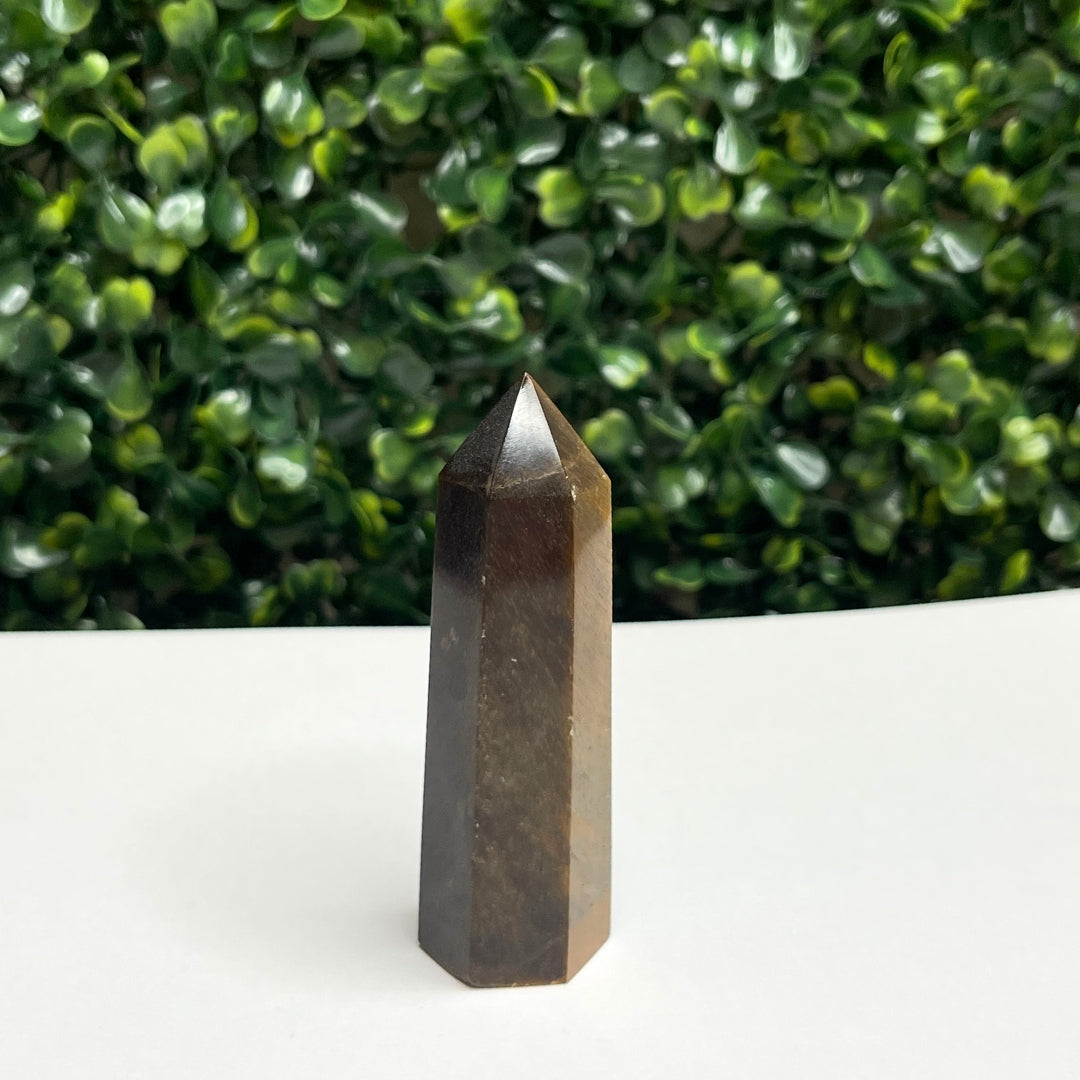 Pointe Oeil de tigre #22