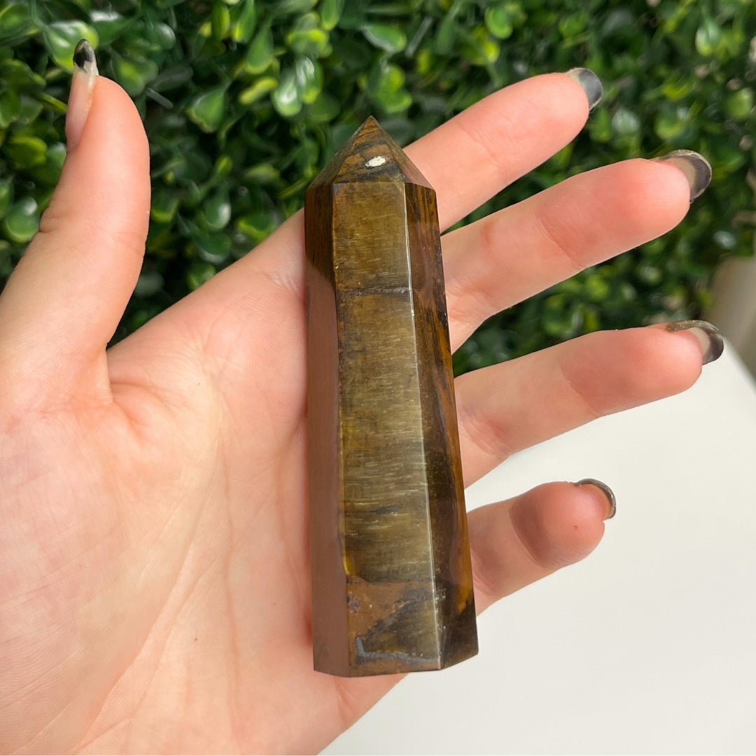 Pointe Oeil de tigre #8