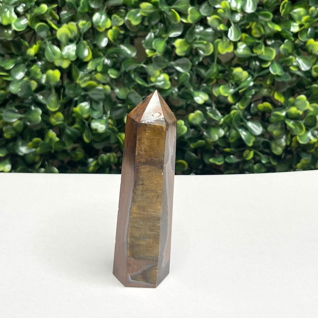 Pointe Oeil de tigre #8