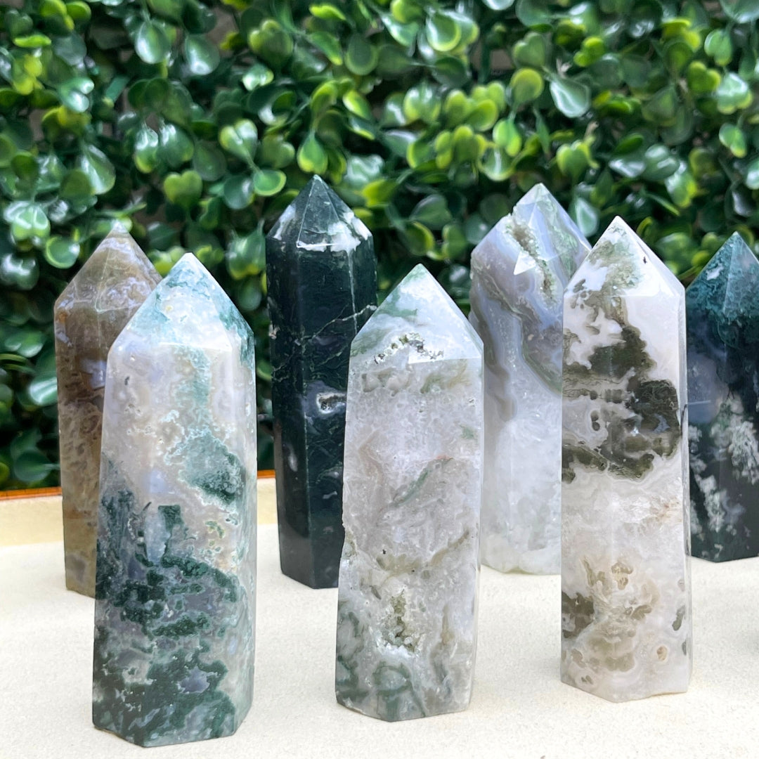 Pointe Pierre Agate Arbre