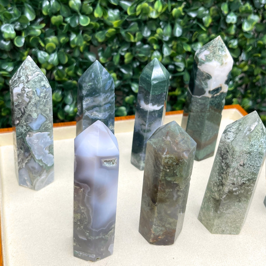 Pointe Pierre Agate Arbre