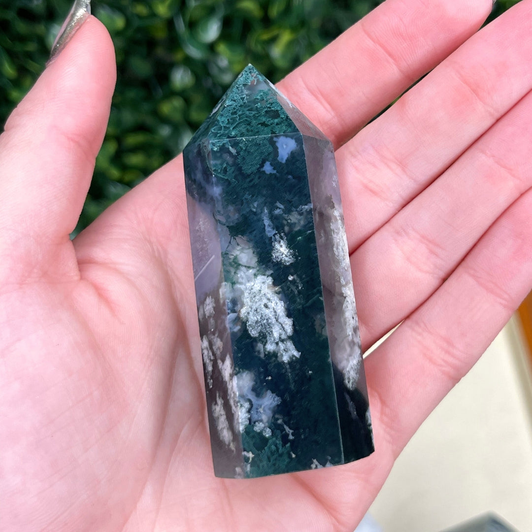 Pointe Pierre Agate Arbre Petite