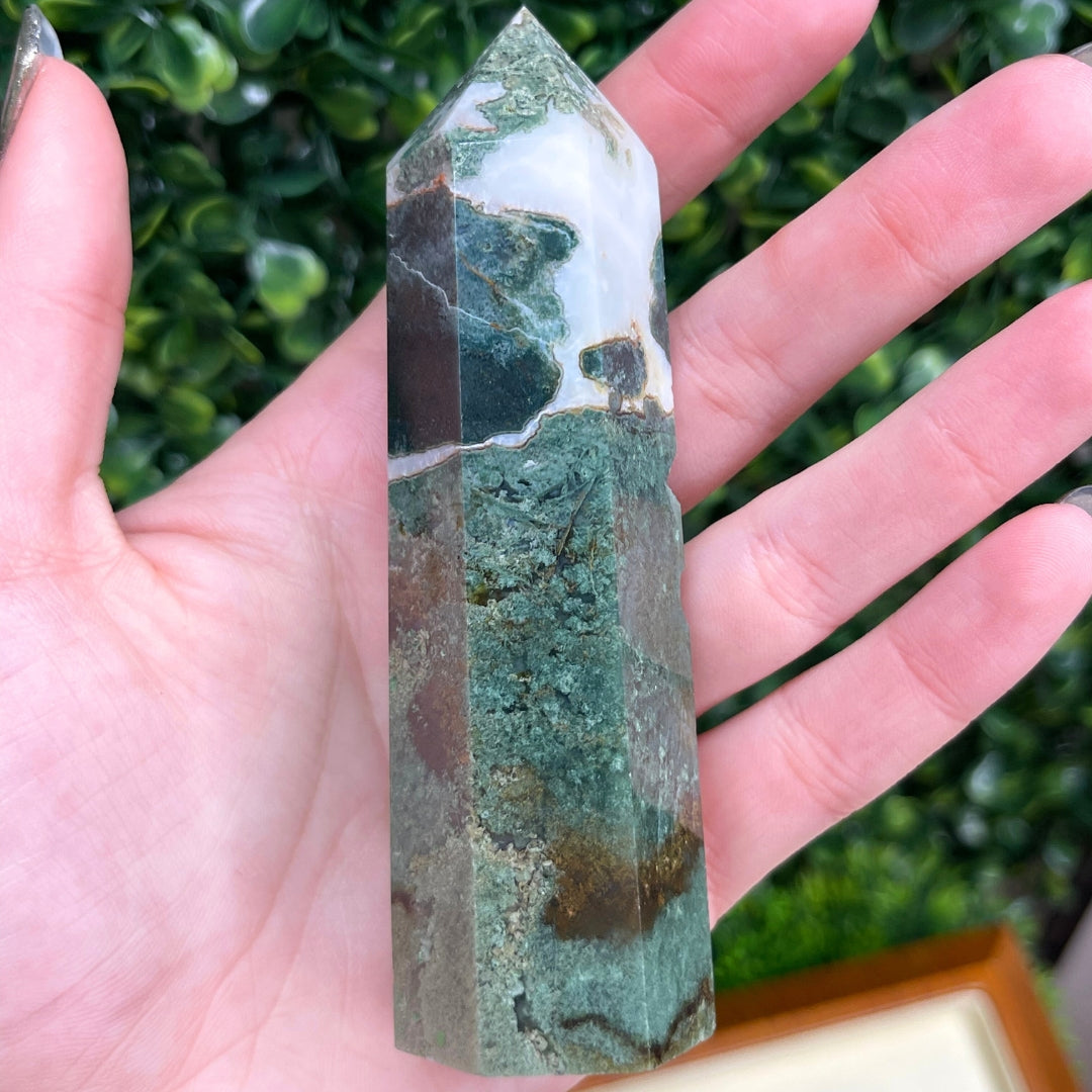 Pointe Pierre Agate Arbre Grande