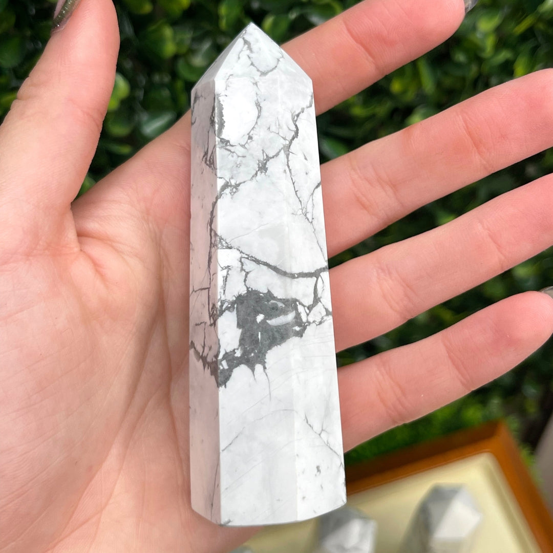 Pointe Pierre Howlite Grande