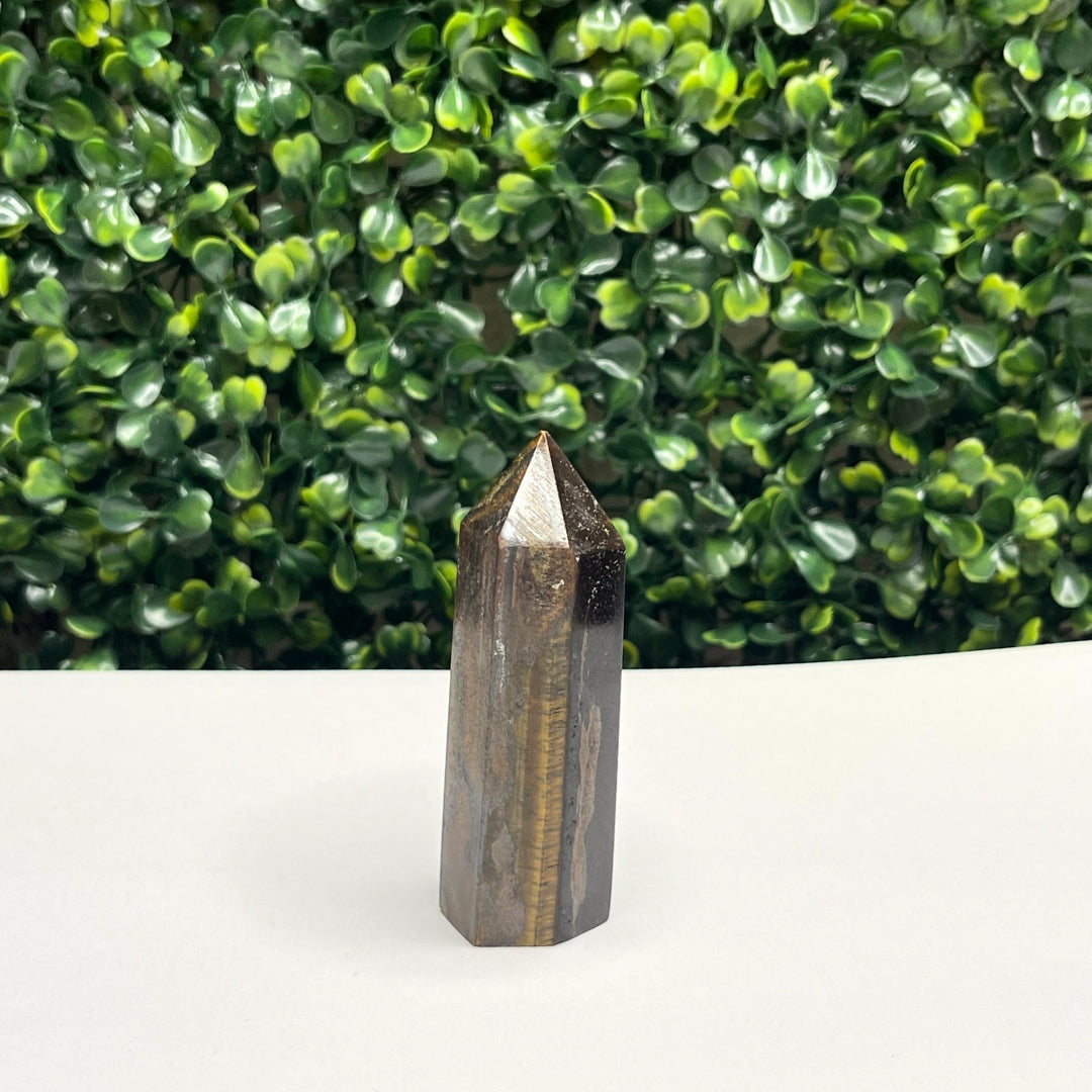 Pointe Pierre Oeil de Tigre #13