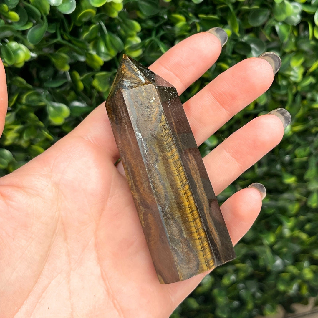 Pointe Pierre Oeil de Tigre #13