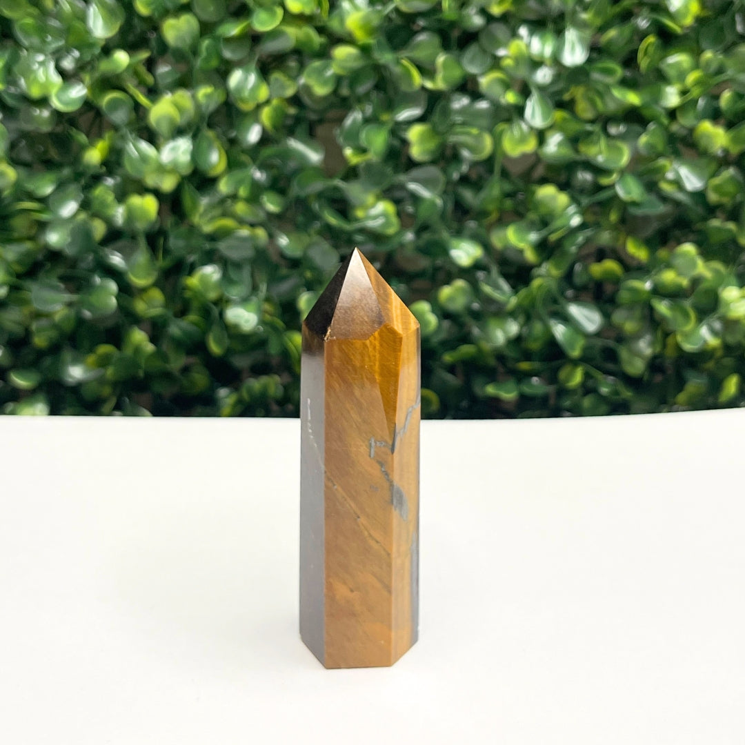 Pointe Pierre Oeil de Tigre #14