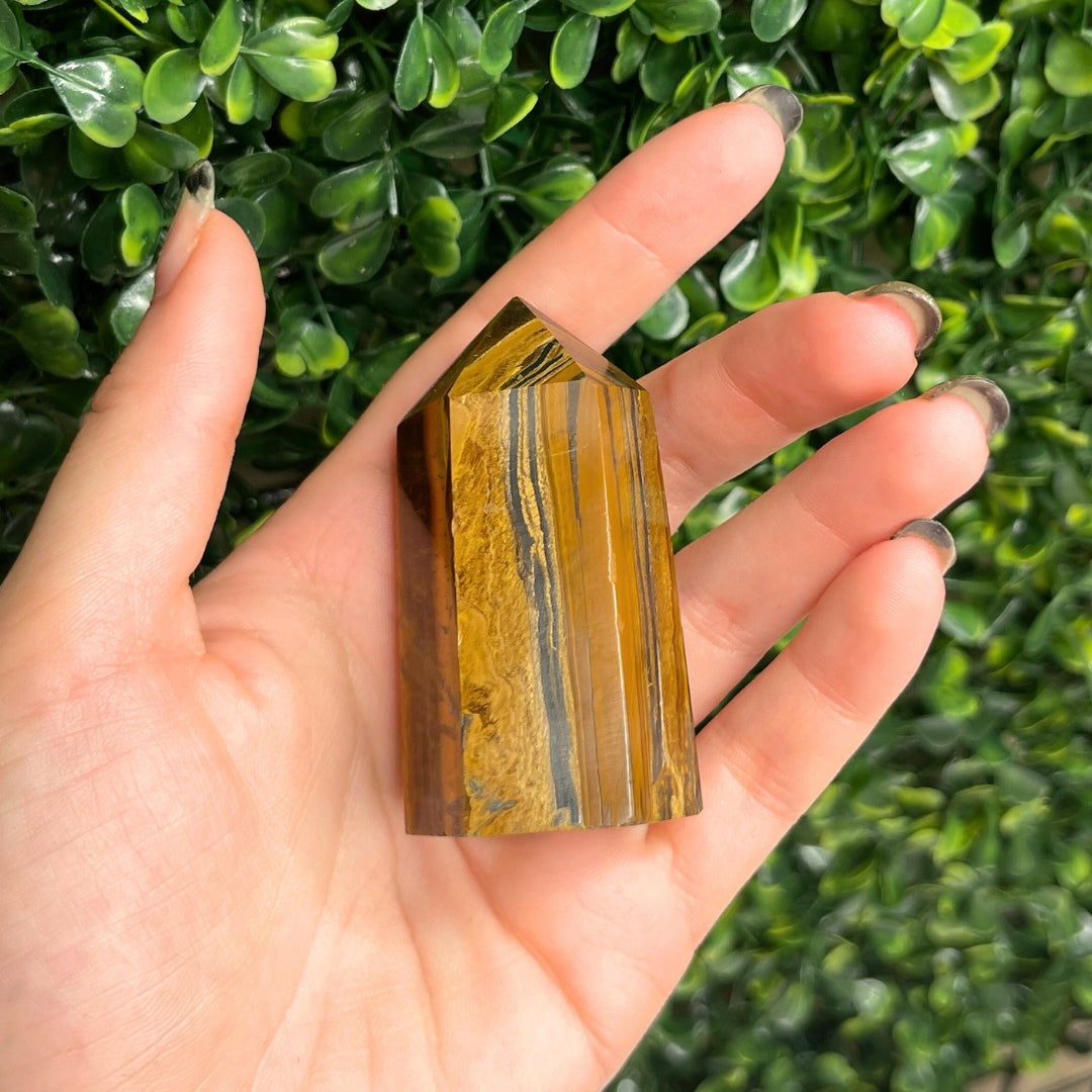 Pointe Pierre Oeil de Tigre #20