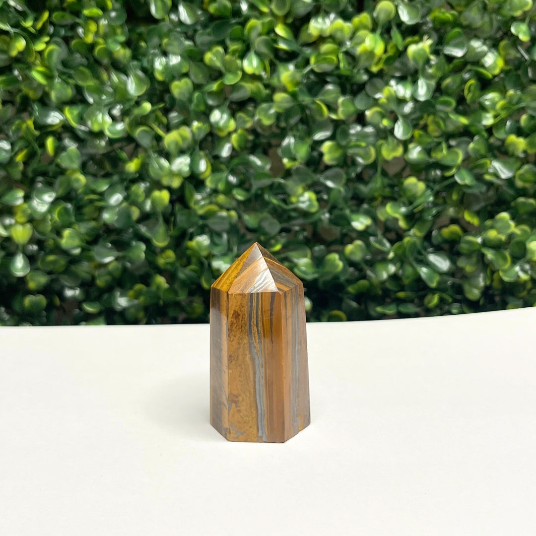 Pointe Pierre Oeil de Tigre #20