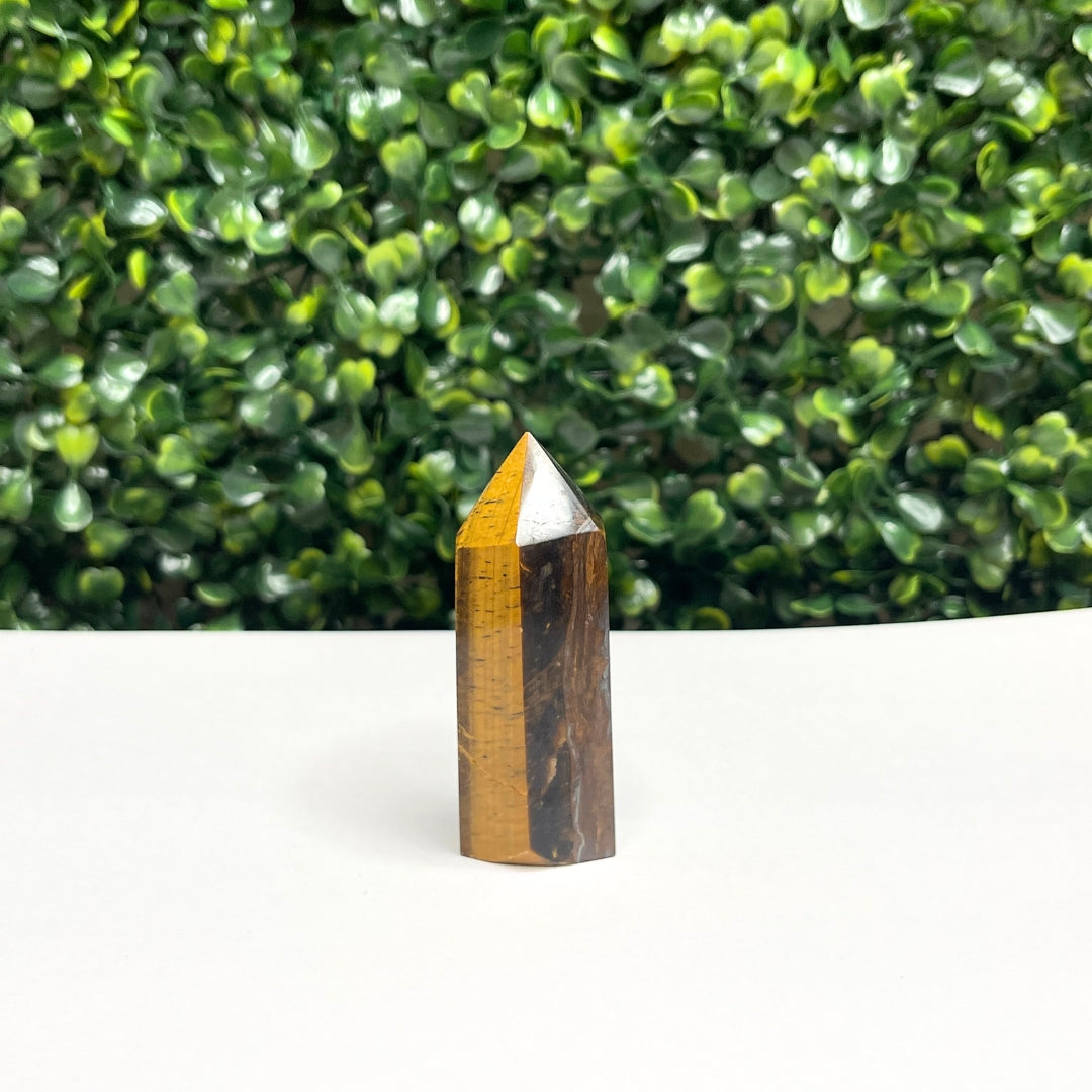 Pointe Pierre Oeil de Tigre #21