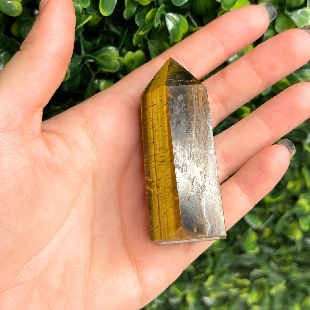 Pointe Pierre Oeil de Tigre #21