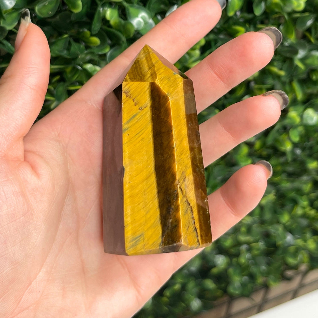 Pointe Pierre Oeil de Tigre #22