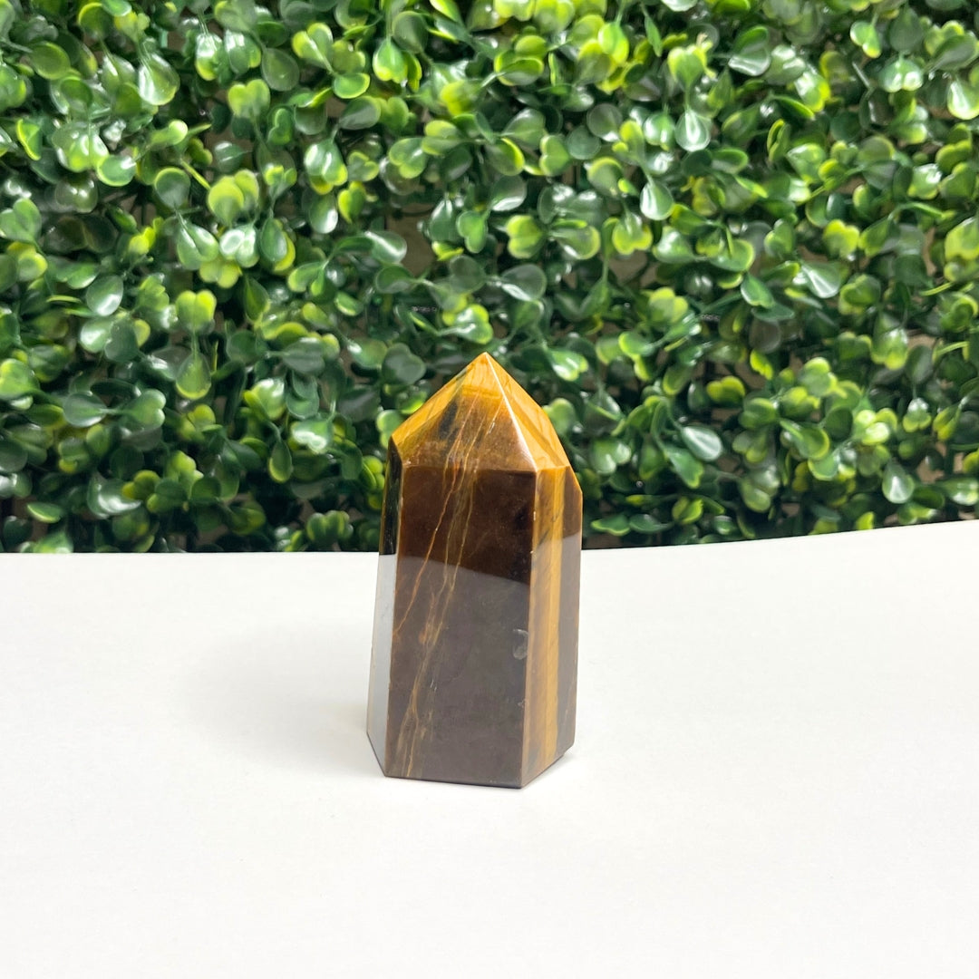 Pointe Pierre Oeil de Tigre #22