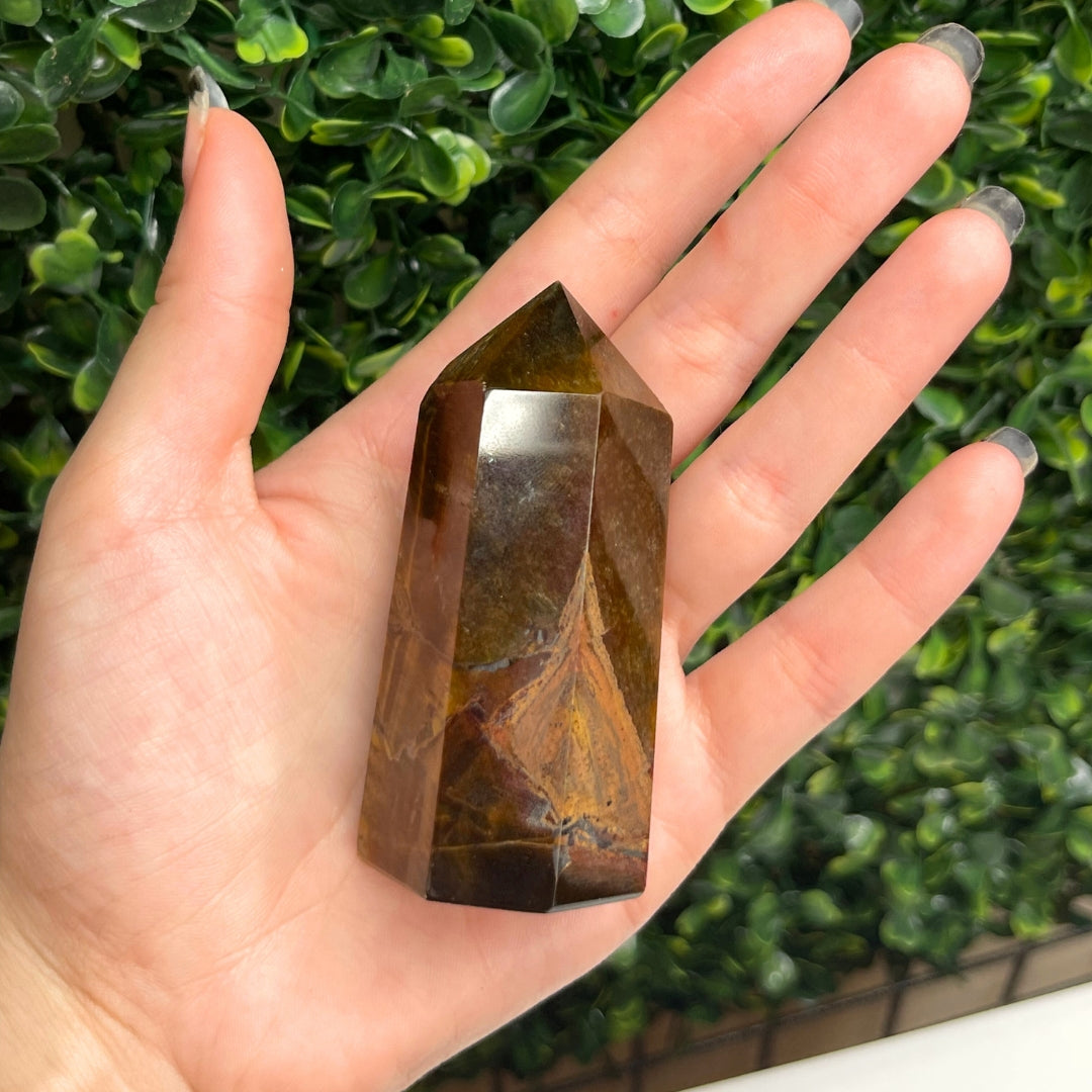 Pointe Pierre Oeil de Tigre #24