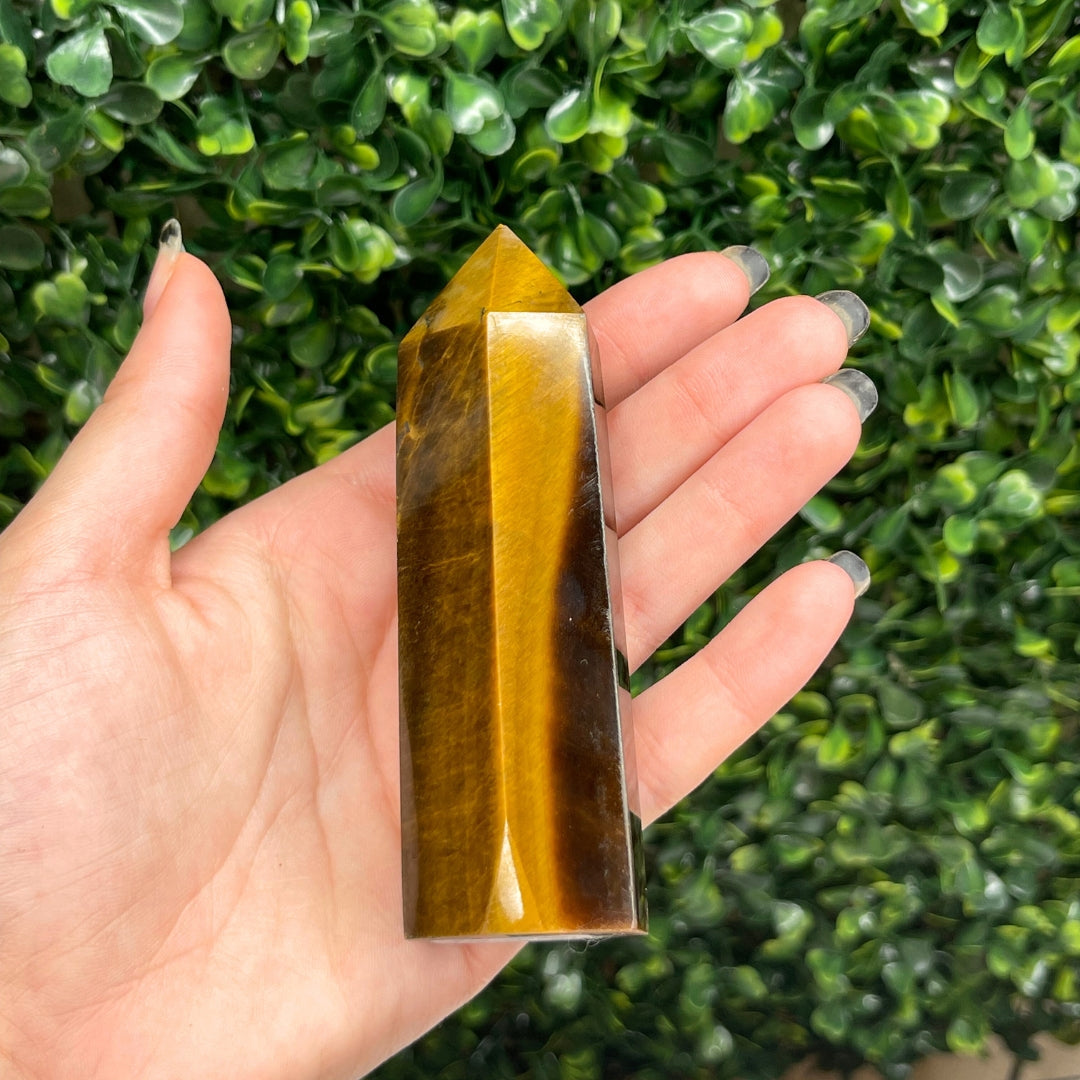 Pointe Pierre Oeil de Tigre #6