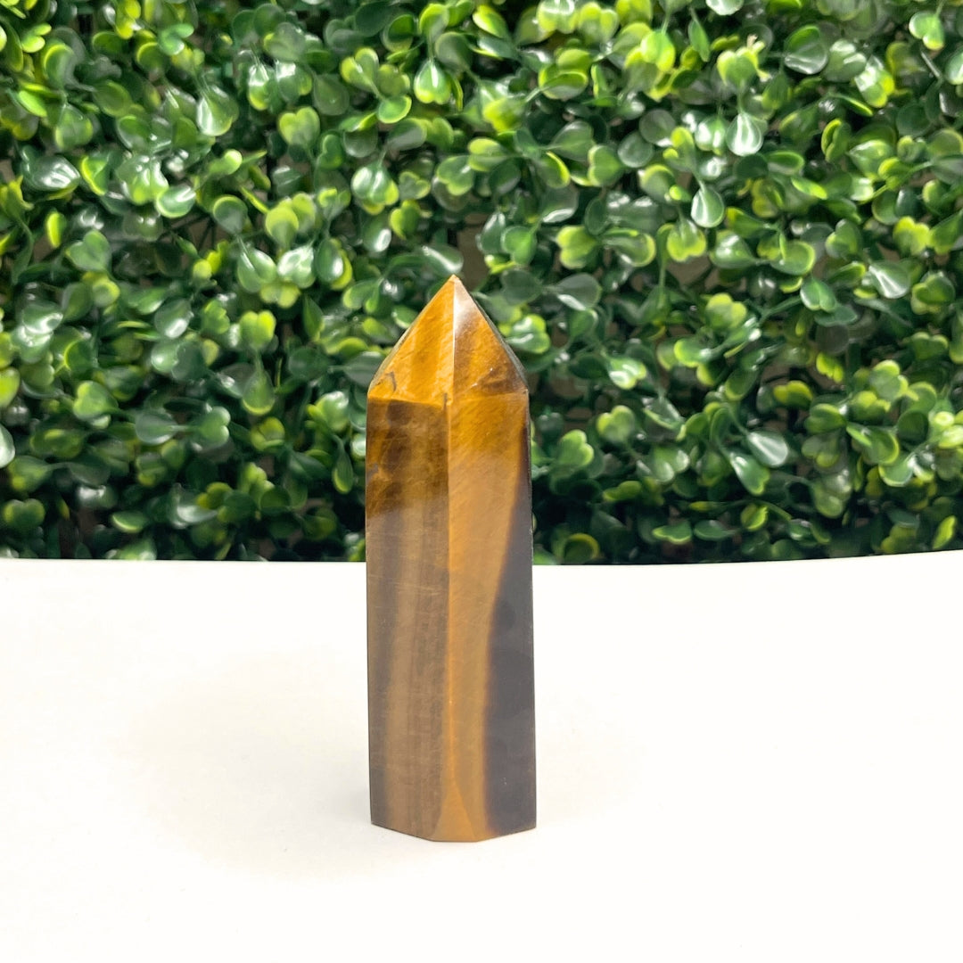 Pointe Pierre Oeil de Tigre #6