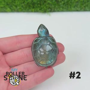 Tortue en Labradorite 2