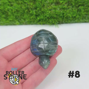 Tortue en Labradorite 8