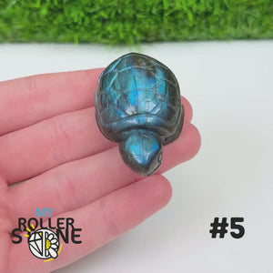 Tortue en Labradorite 5