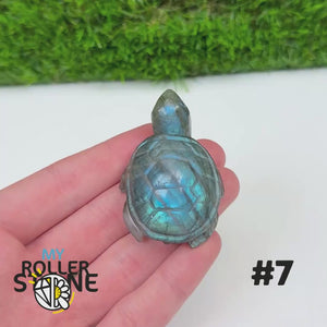 Tortue en Labradorite 7