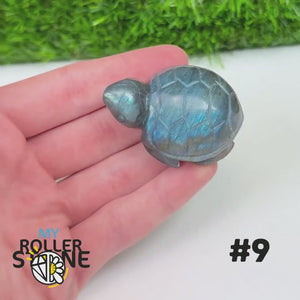 Tortue en Labradorite 9