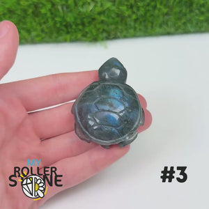 Tortue en Labradorite 3