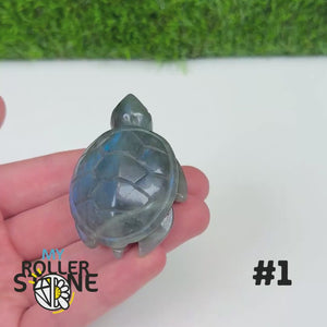 Tortue en Labradorite 1