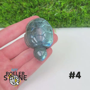 Tortue en Labradorite 4