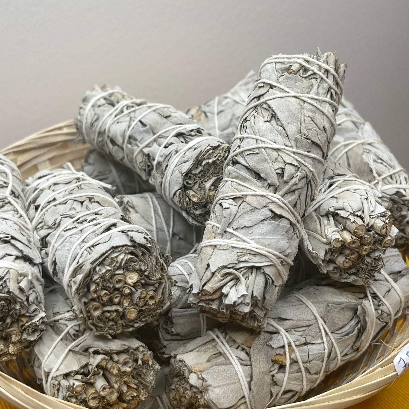 Sauge Blanche de Californie