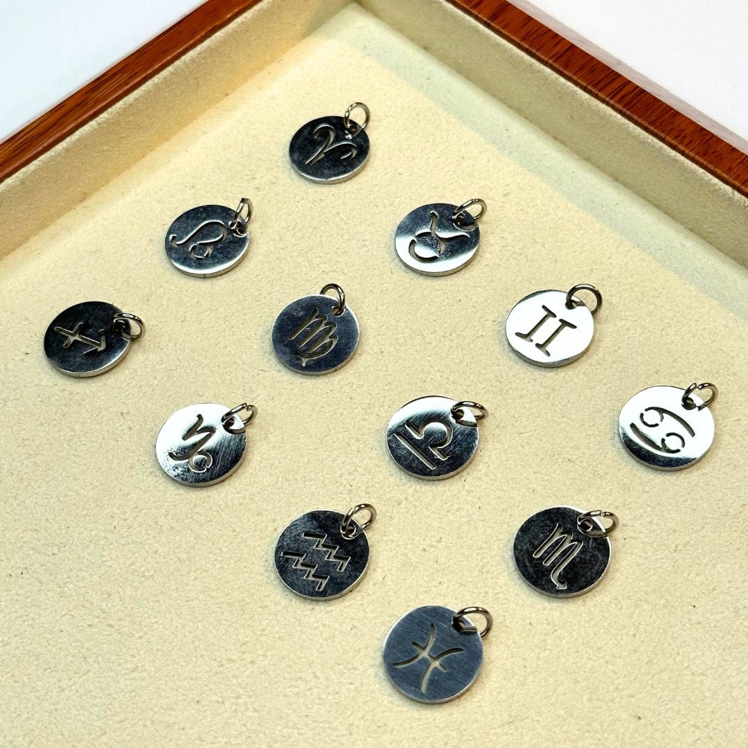 Set Charm Signe Astrologique Acier Inoxydable Argenté