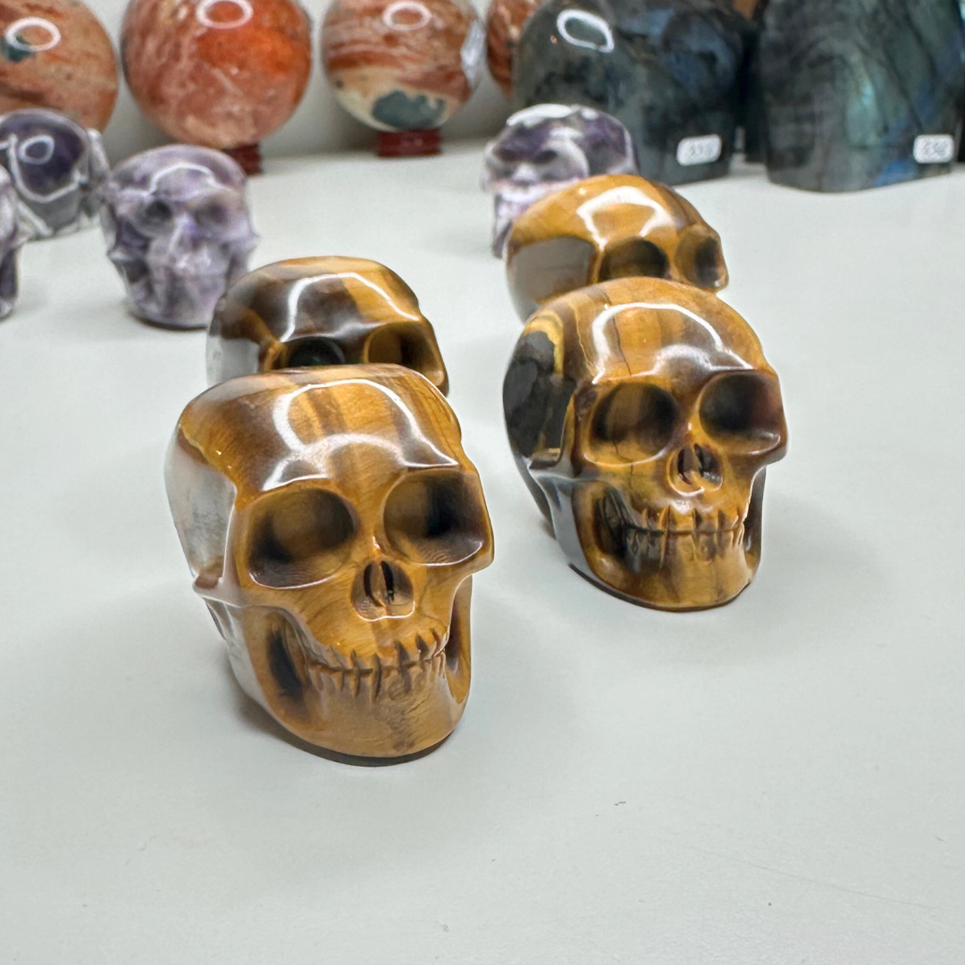 Tête de mort Oeil de tigre - Pierres et fossiles